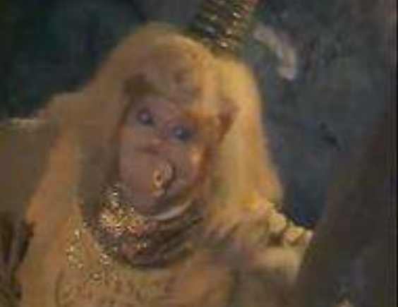 十二生肖的历史故事和传说,十二生肖与神话传说形象大盘点