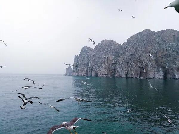 山东长岛自助游攻略,山东长岛游玩攻略视频