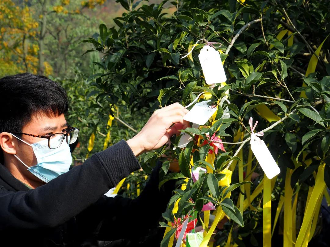 同泰第四届集体树葬圆满举行，21位树葬人士回归自然