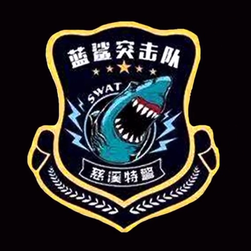 全国各个城市特警队臂章,公安特警帅图