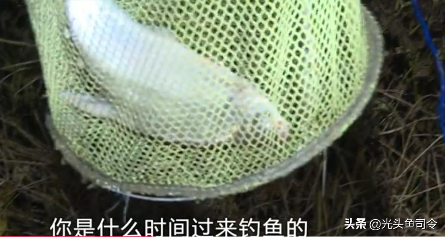 早上钓鱼被抓,在河边钓鱼小心被抓