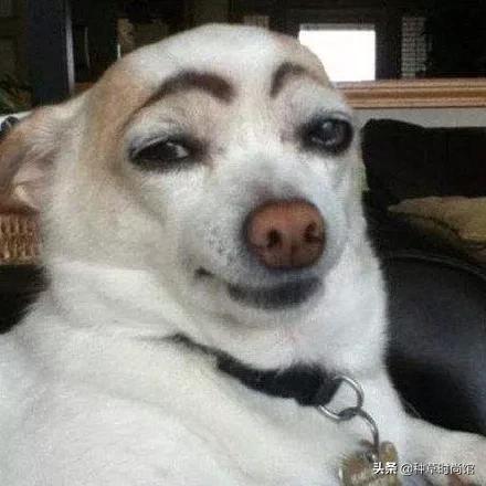 推荐爆款眉笔,眉笔热卖排行榜10强