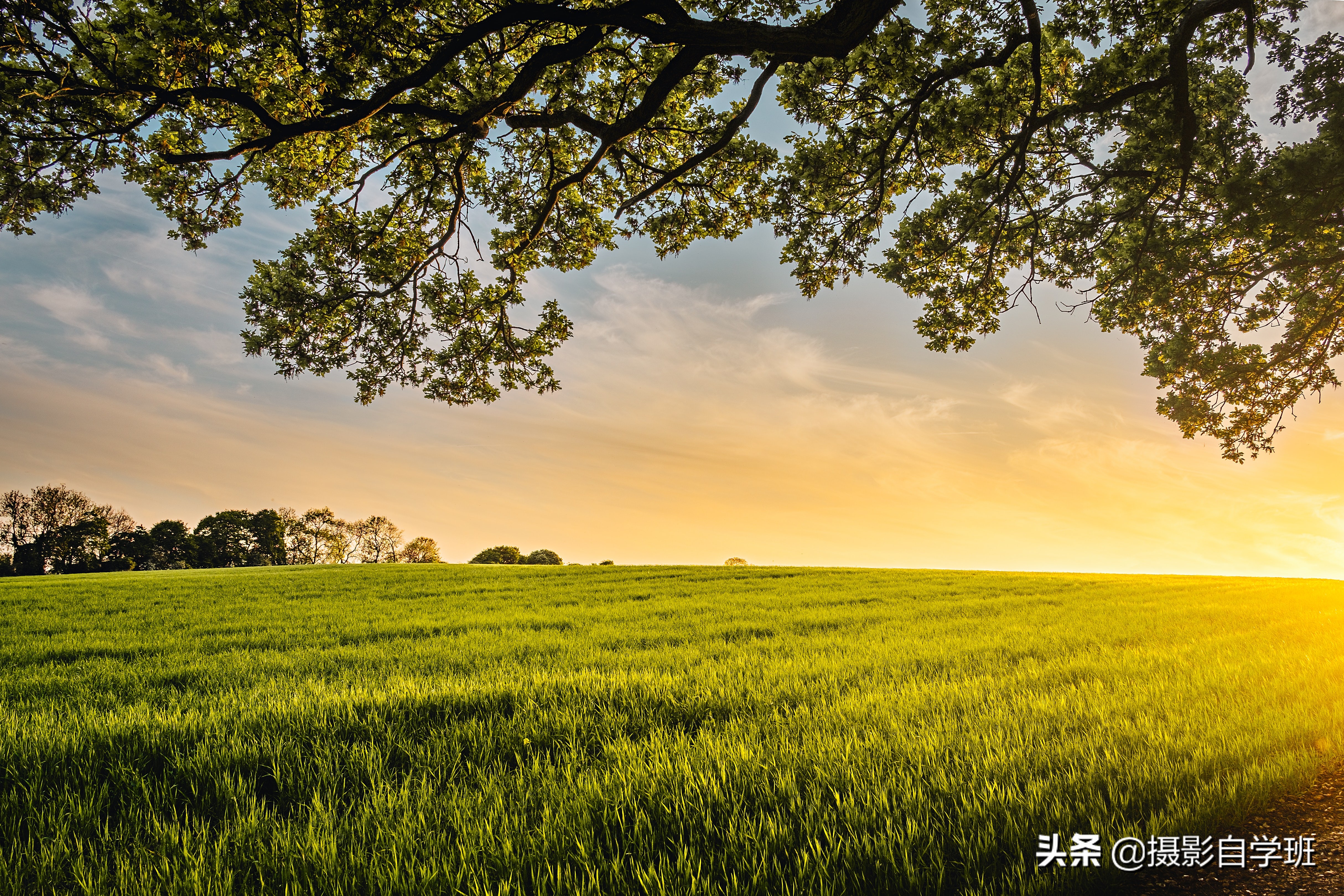 苹果手机拍照设置功能介绍,苹果手机拍照使用技巧大全集