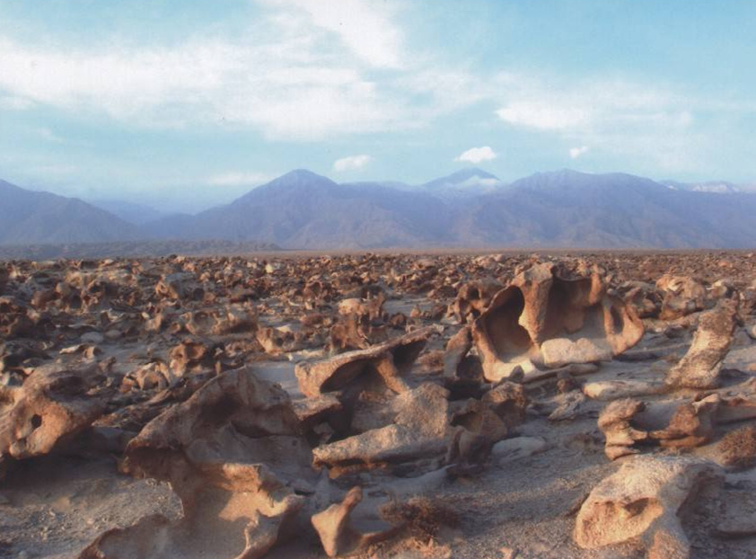 十大上古龙族,十大龙族是什么样