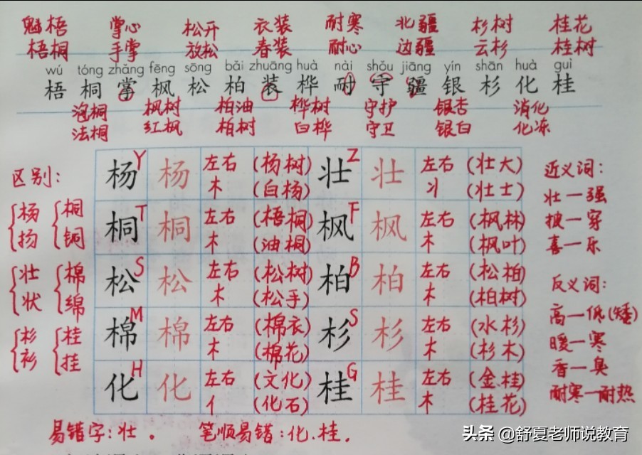 二年级树之歌课文笔记整理,小学二年级树之歌内容