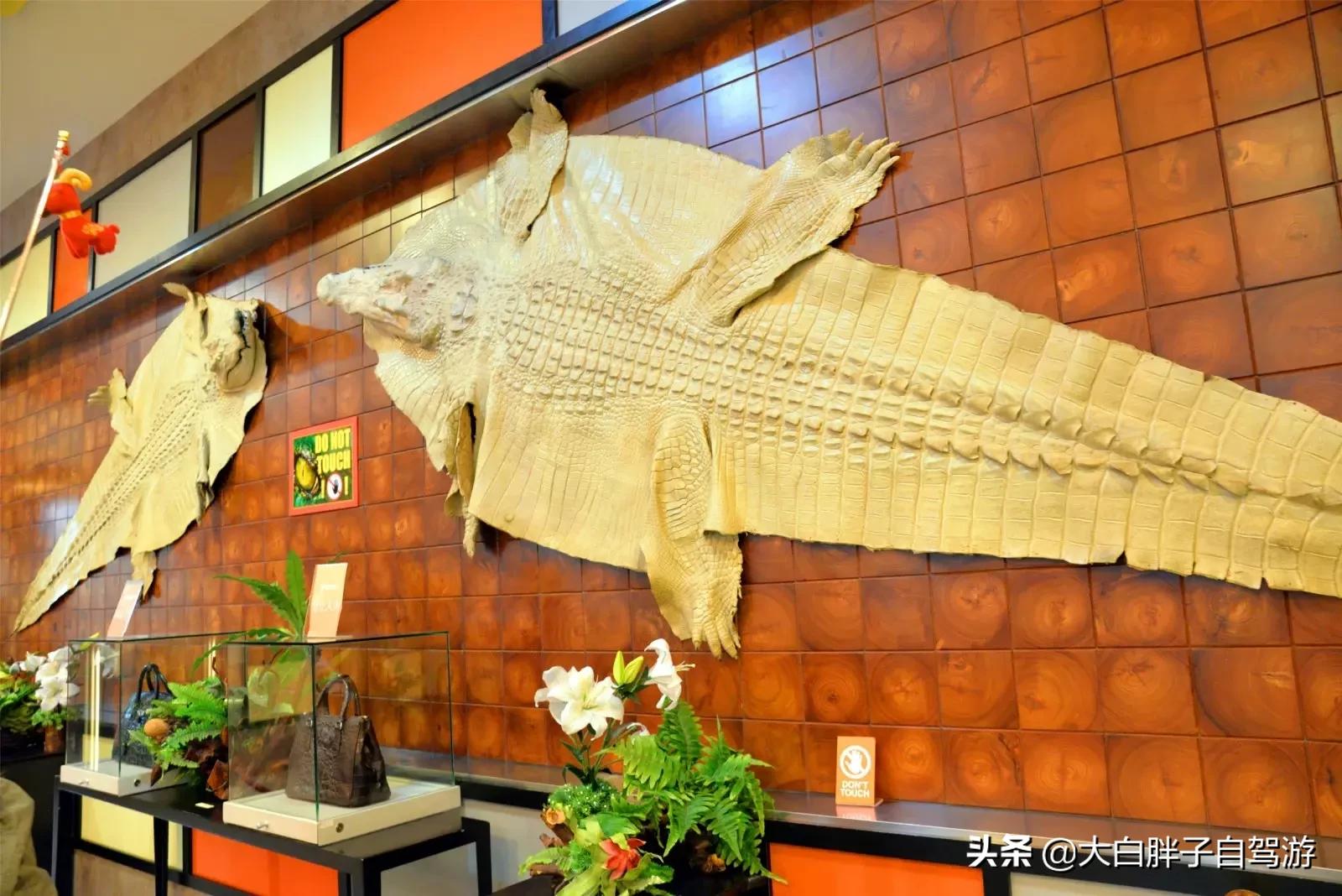 泰国风情之旅完整版,泰国风情记