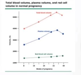 柯敬东教授：产科大出血的救治