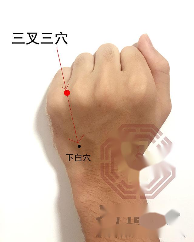 中医针灸耳朵疾病配穴处方,针灸处方辨证配穴