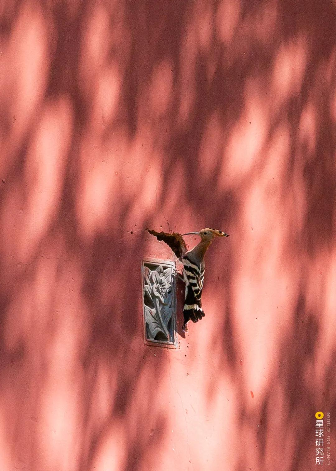 林草领域知识图谱,林草科普专业术语