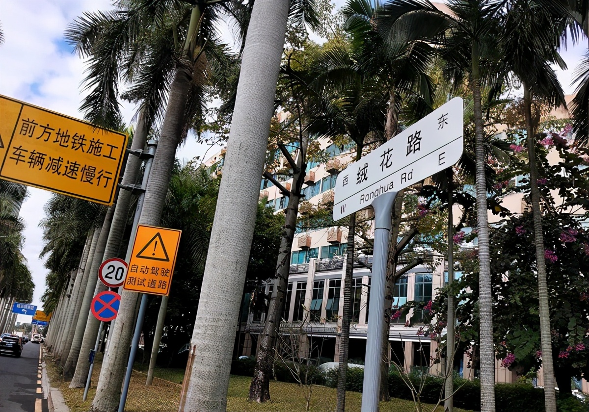 打卡“福保站”，探索你不知道的福田保税区