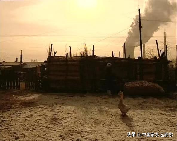 杨博非遗传承,杨博的一生经历