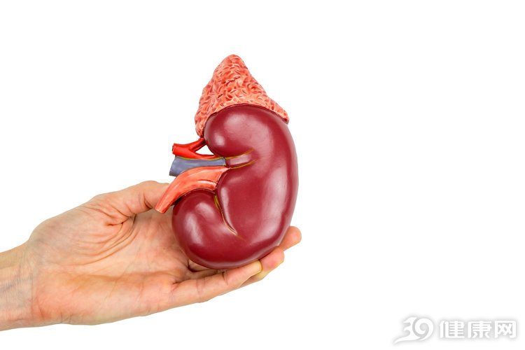 区别肾阴虚和肾阳虚的最好方法,肾阴虚和肾阳虚的区别通俗易懂