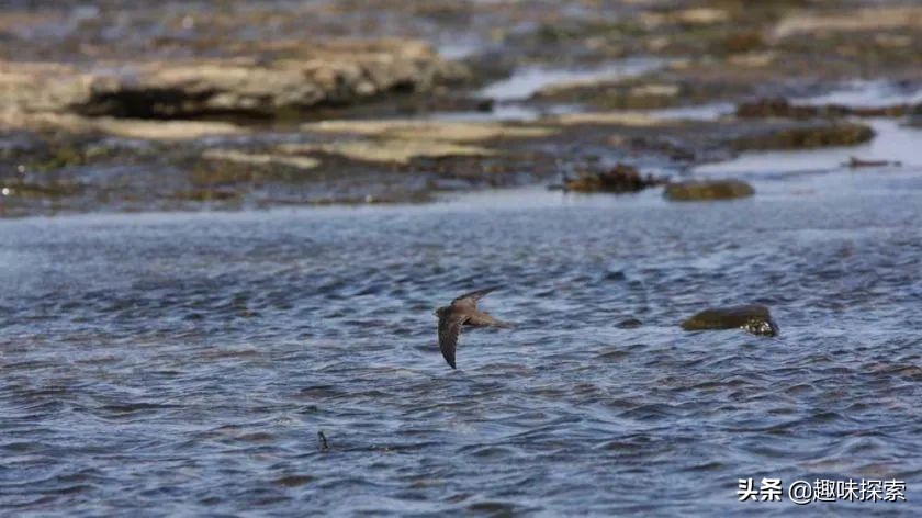 一次飞行终身相伴,连续飞行674天速度可达25倍音速