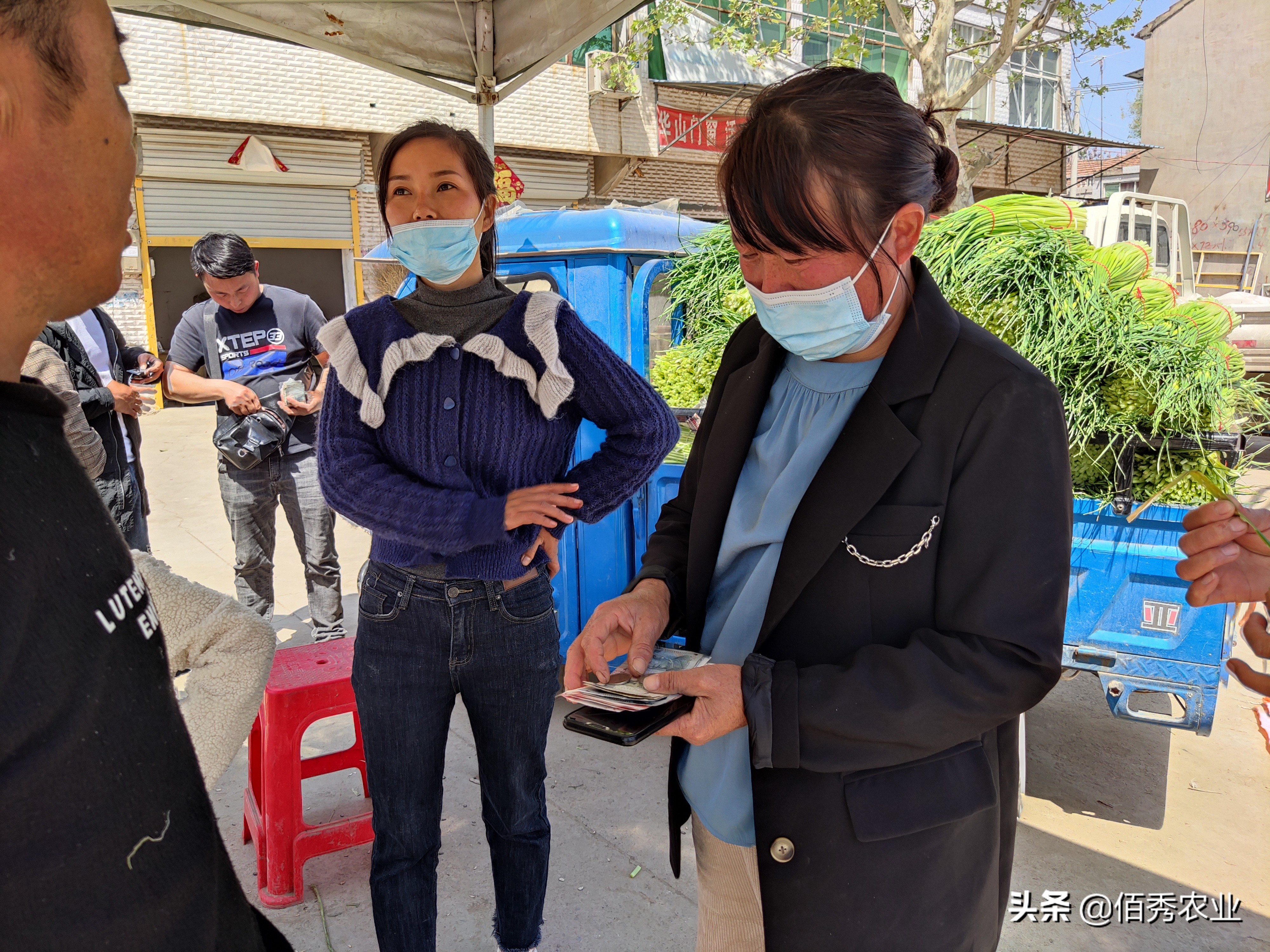 三农种植大蒜致富技术,大蒜地里套种特色技术