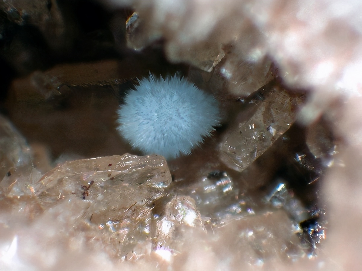 元宵节快乐的美景,元宵节快乐食物