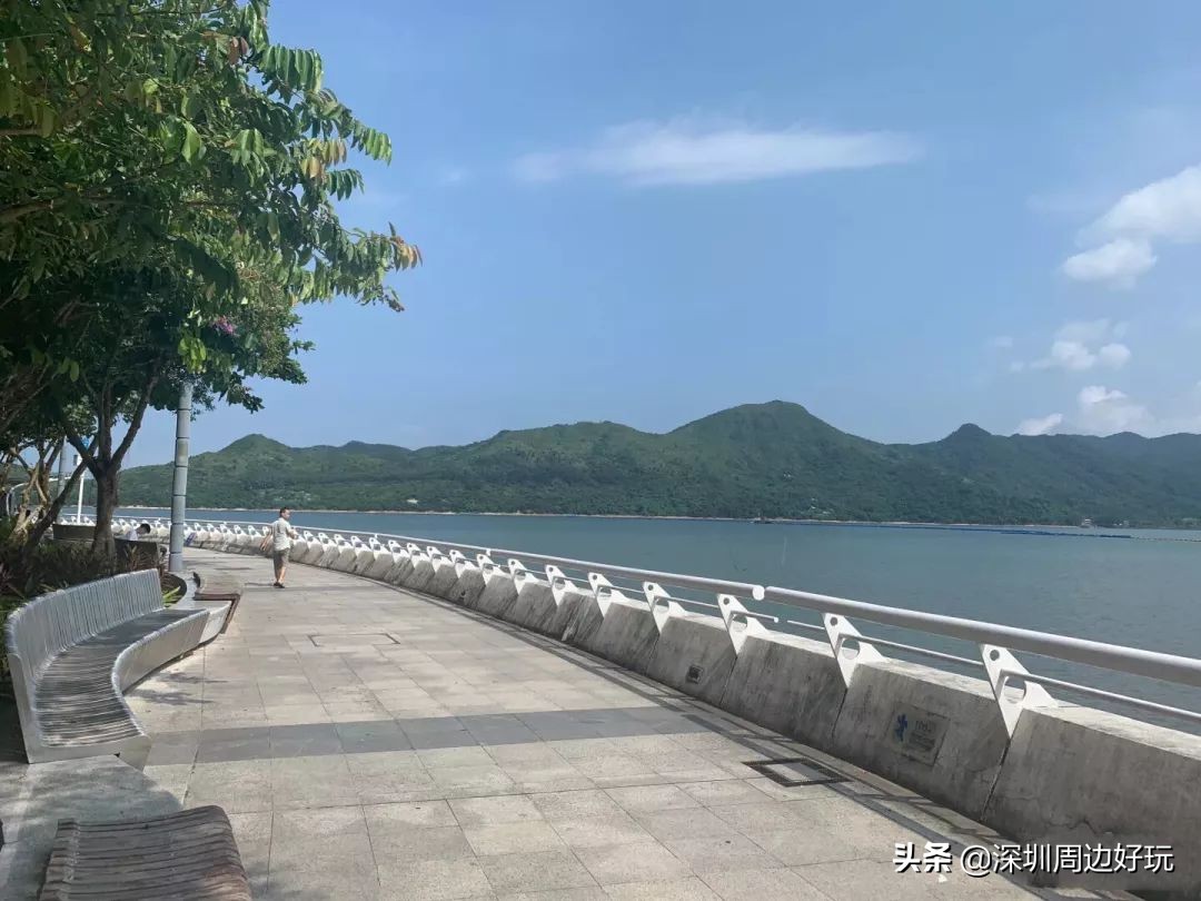 去香港可以买免税品吗,去香港可以买免税商品吗