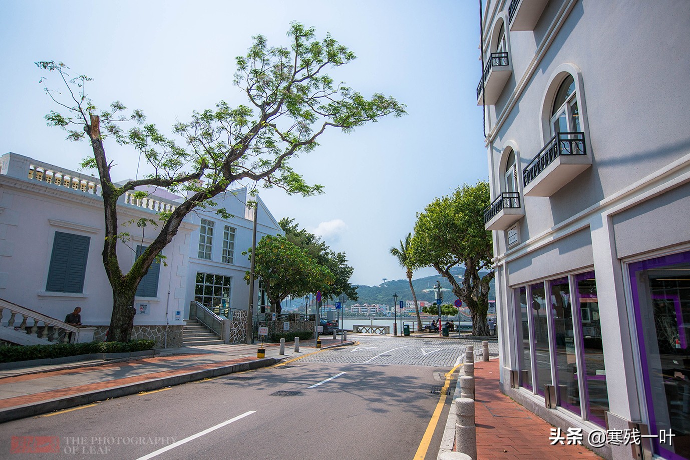 澳门必吃美食葡式蛋挞,最正宗的蛋挞在澳门