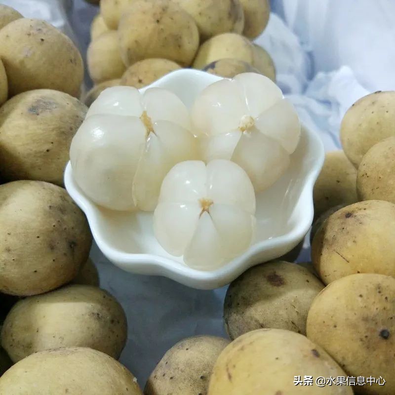 国内好吃的热带水果有哪些,小众水果推荐