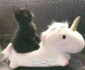 全网最真实测评博主粉底液干皮,全网公认油皮粉底液