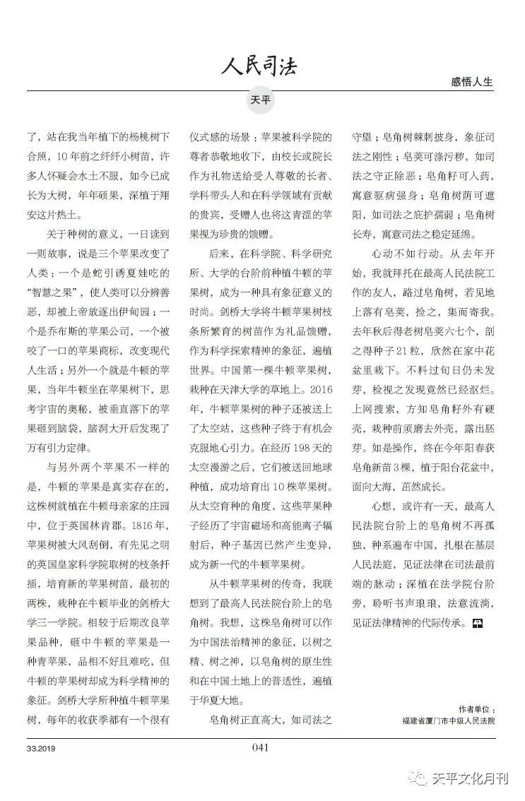 「书香佳韵」厦门市中级人民法院黄鸣鹤：台阶上的皂角树