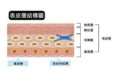 治疗激素依赖性皮炎的五大禁忌,激素依赖性皮炎治疗指南