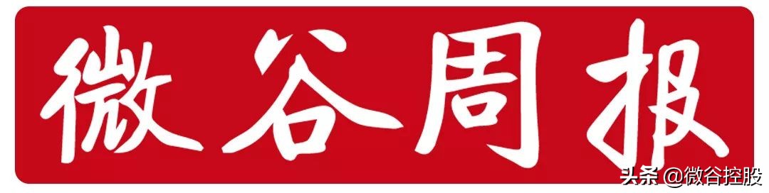 微谷国际怎么样,微谷国际全球计划