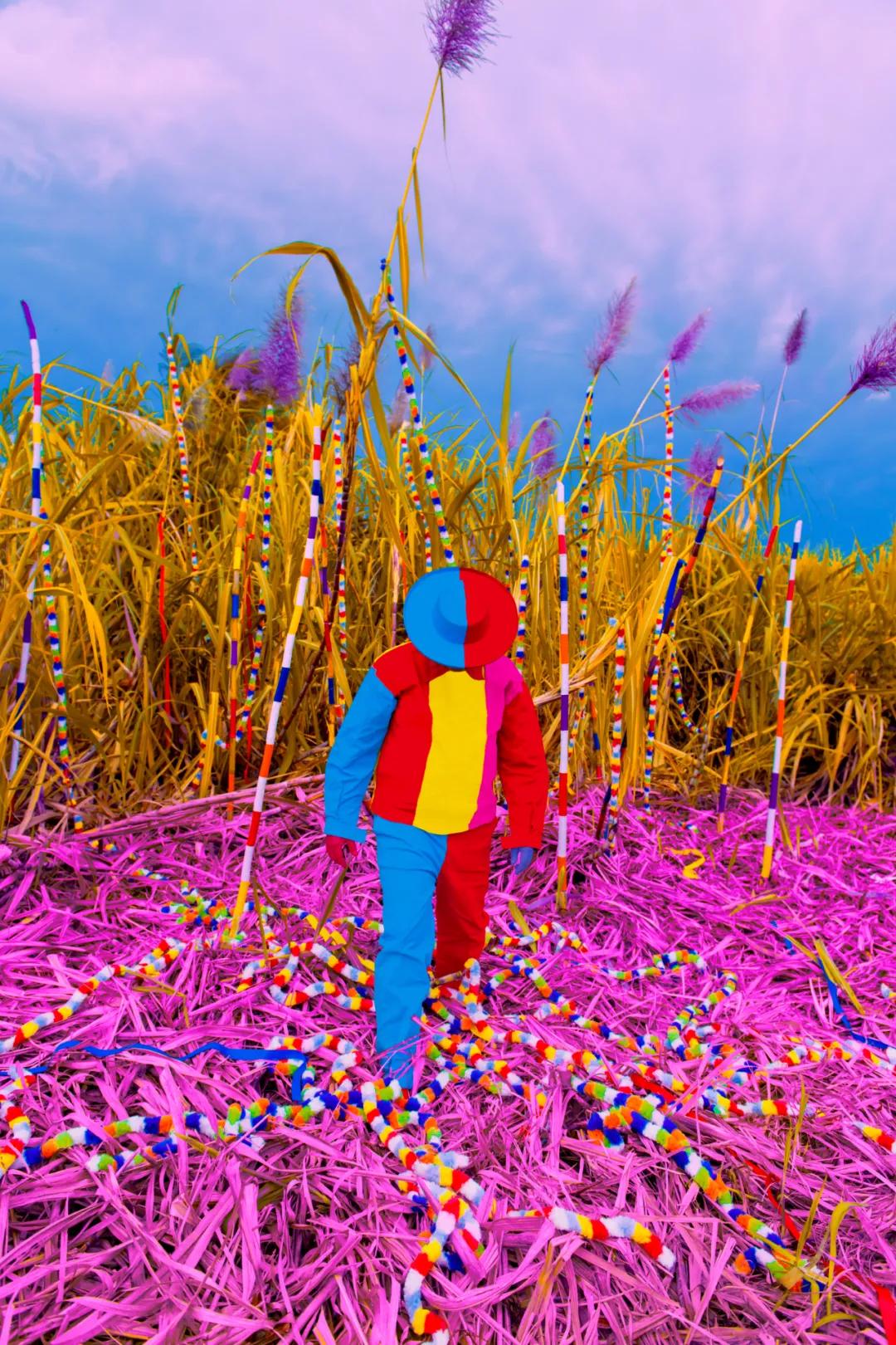 保乐力加抽奖,保乐力加涨价