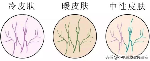 雅诗兰黛dw粉底液鉴别真假的方法,如何辨别雅诗兰黛dw真假