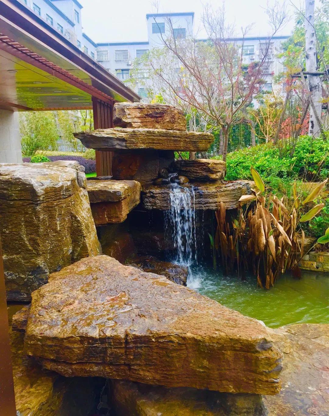 五乐之趣/“乐养”由心,遇见美妙人生