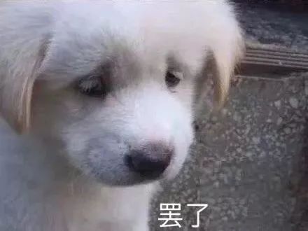 淘宝上月销上万的单品还能去做吗,淘宝上月销过万的产品是真的吗