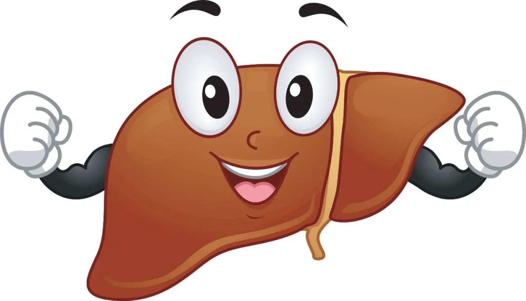 根深则叶茂,根深而枝叶茂