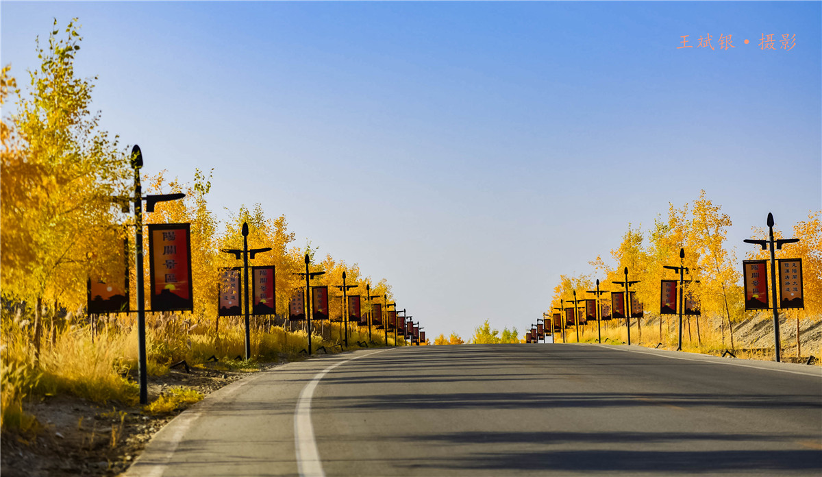 第一次去看胡杨的感触,第一次体验到沙漠乐趣