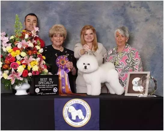 中国犬种繁殖状况,中国本土犬的繁殖现状