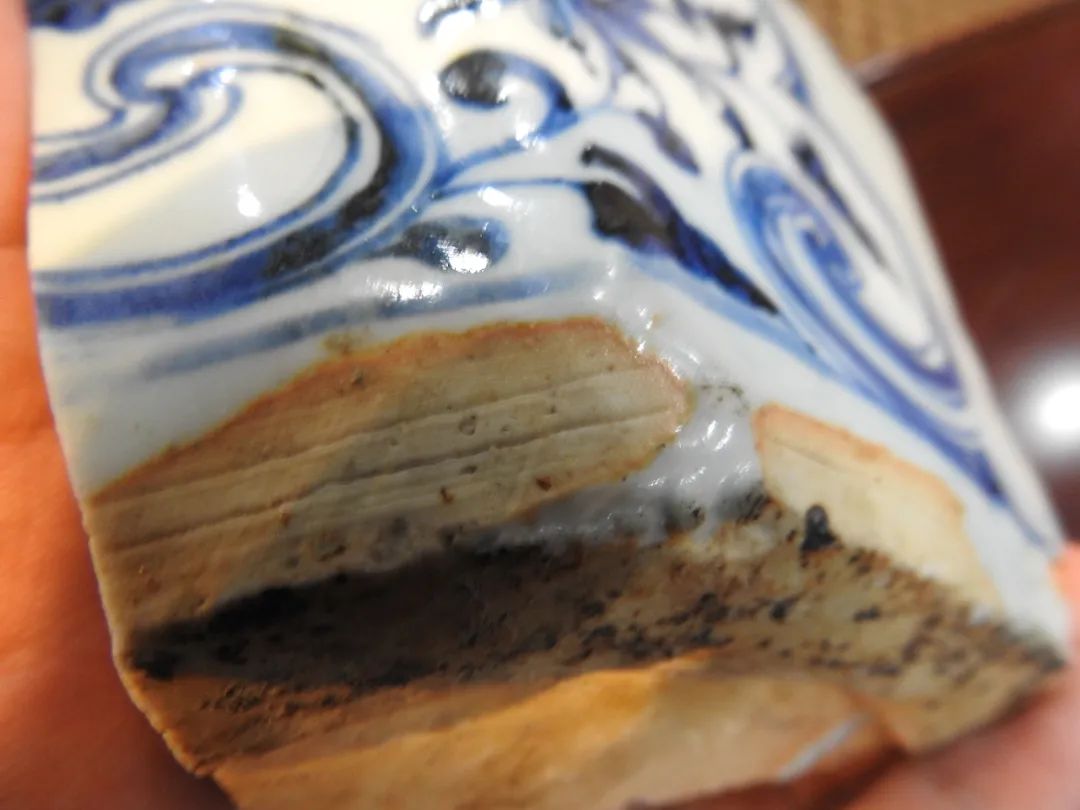 鍏冮潚鑺卞寽鐪熷搧鐗瑰緛,姘戠獞鍏冮潚鑺辩鐗瑰緛