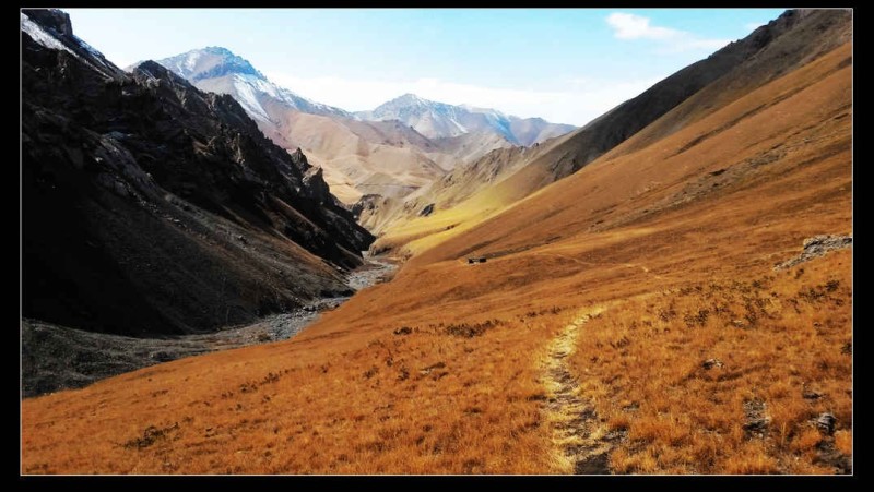 带上UL从狼塔C回家