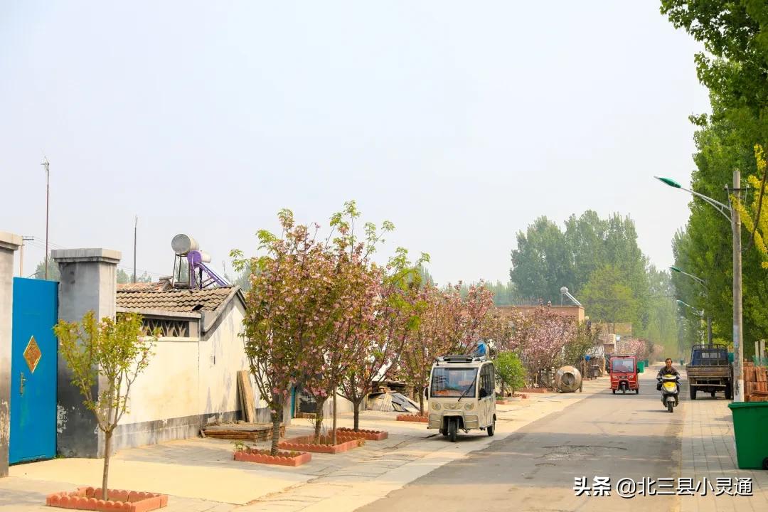 民宿木屋采摘园,休闲观光特色民宿生态采摘