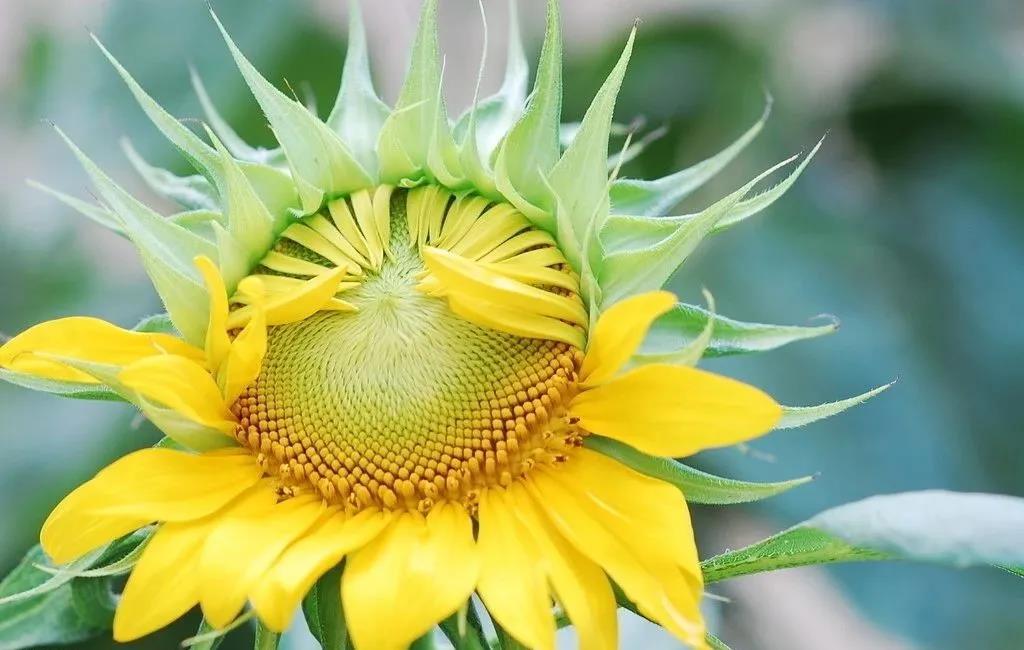 为什么不建议你买防癌险,60岁以上买什么防癌险