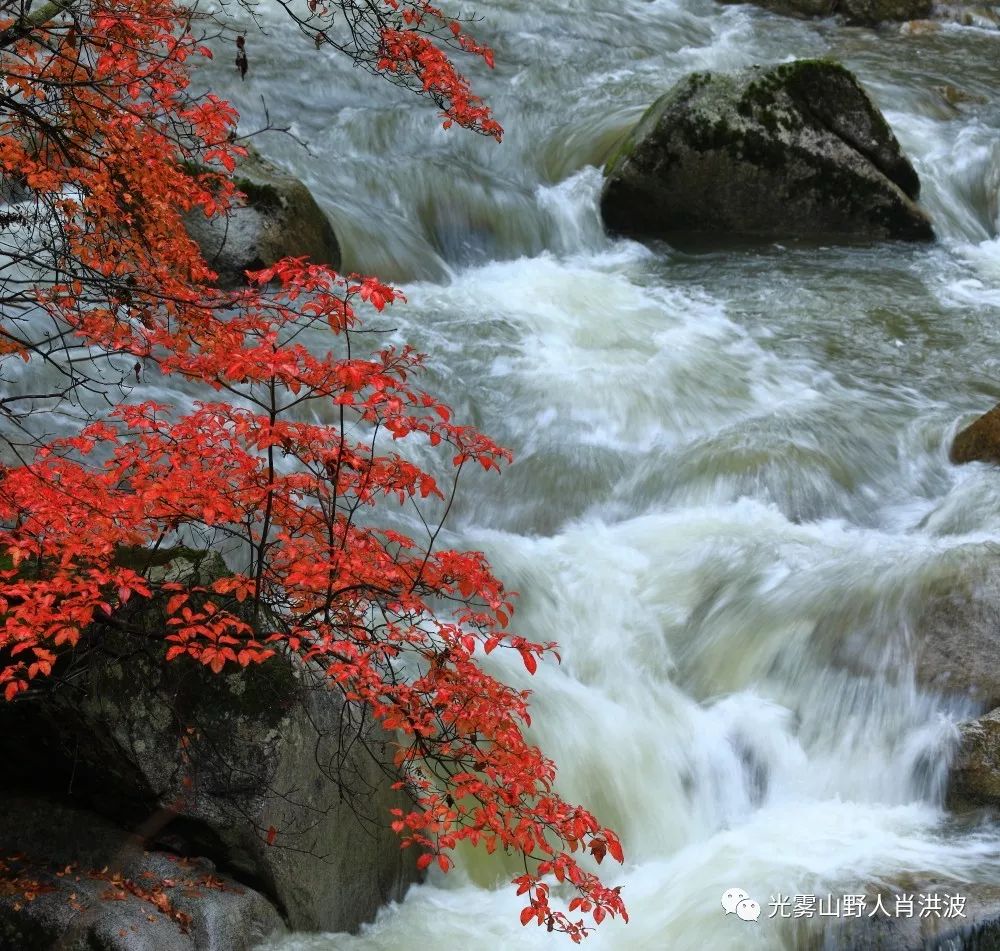 巴中光雾山红叶红,巴中打车去光雾山看红叶
