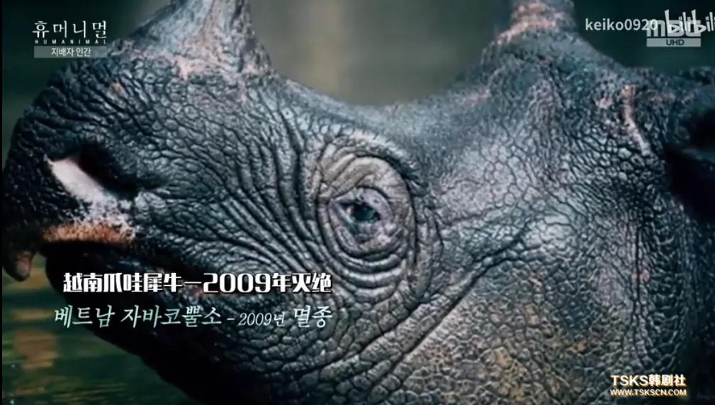 15岁怀孕的她，被骗吃下*药炸**，无辜去世：生而为人，有些人却不配