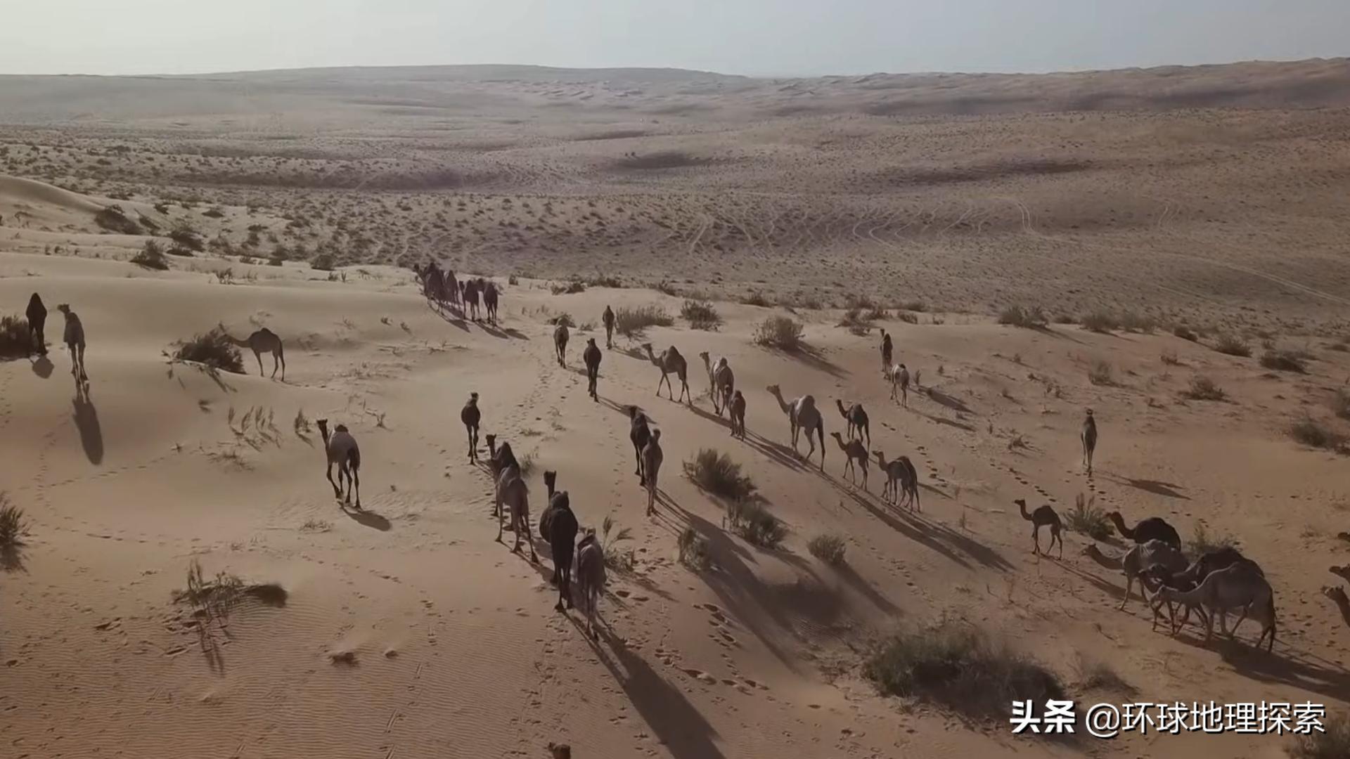 沙特石油王国在哪里,沙特阿拉伯神秘之处在哪