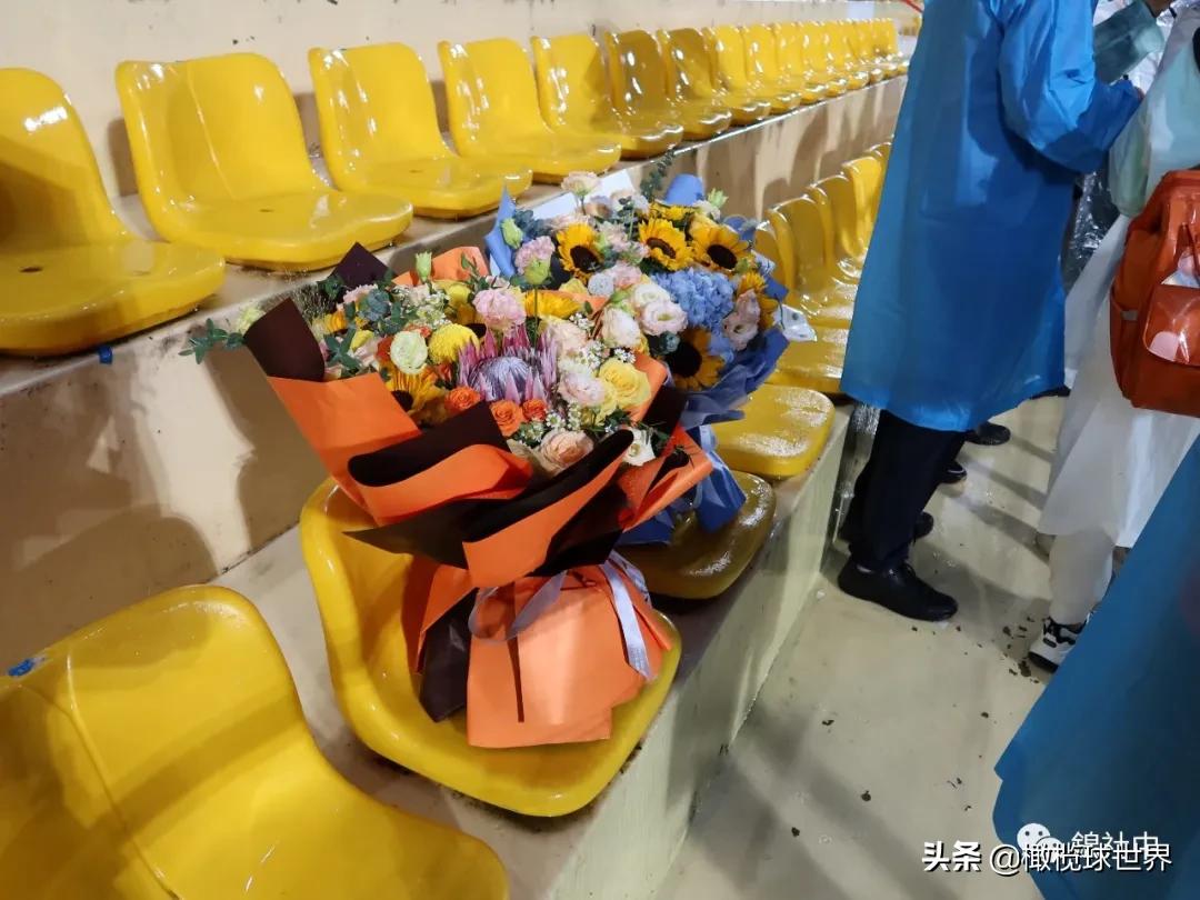 我和我的体育故事,我和橄榄球的故事