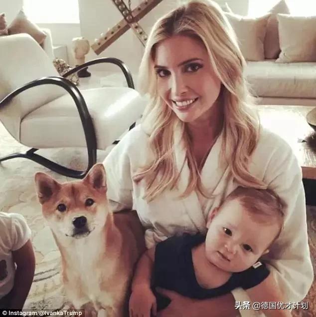 疫情之下，这个最靠谱的美国女婿为何被喷