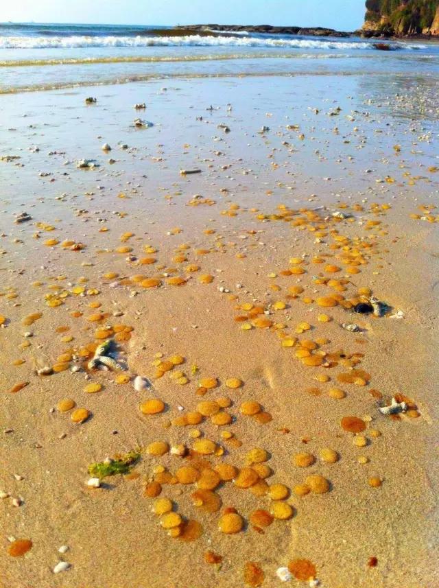 比鼓浪屿大12倍，比三亚安静10倍！这小岛最适合现在去，美轮美奂