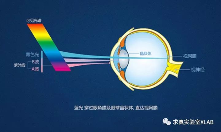 为啥防蓝光钢化膜看着眼睛很累,防蓝光和不防蓝光手机贴膜区别