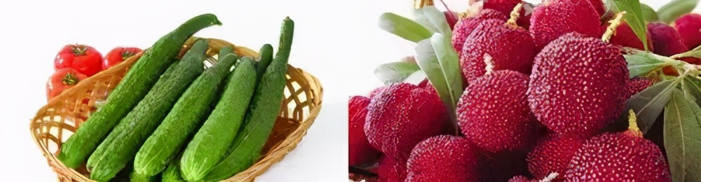 兰溪杨梅正式开摘！最强采摘攻略出炉，五十里杨梅长廊够吃吗？杨梅自由就是现在！