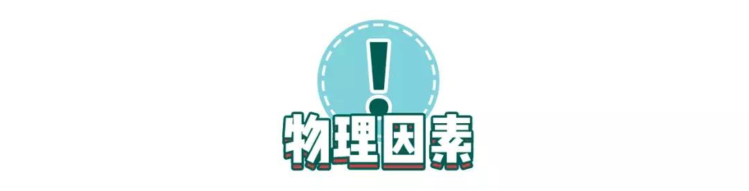 猫咪狗狗骨折了怎么办？扒一扒宠物“骨子里”的那些事
