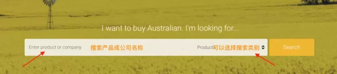 澳洲本土的ugg,澳洲ugg是什么