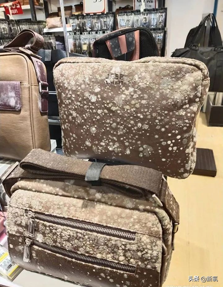 泰国坑中国游客,泰国坑中国游客后续