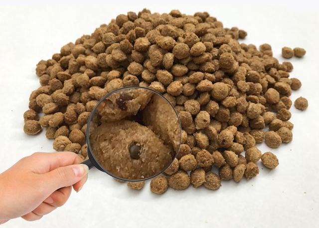 抚摸狗狗哪个部位让它有安全感,狗狗最喜欢被抚摸的三个部位