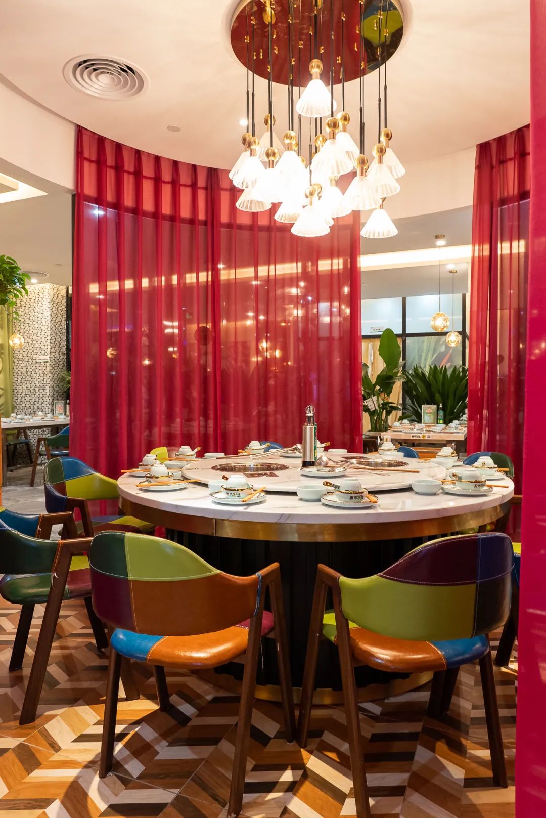 泰国鸡和缅鸡杂交后代,中泰越混血椰子鸡